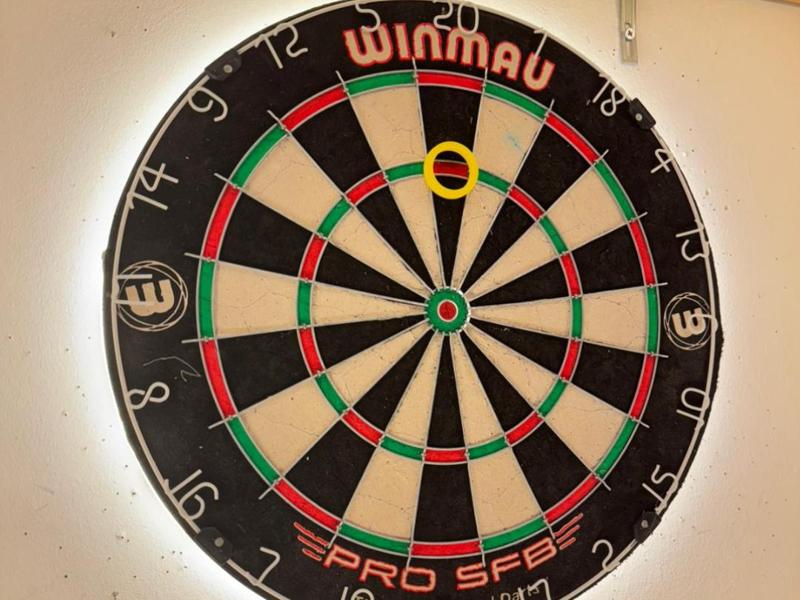 magnetic darts parctise ring