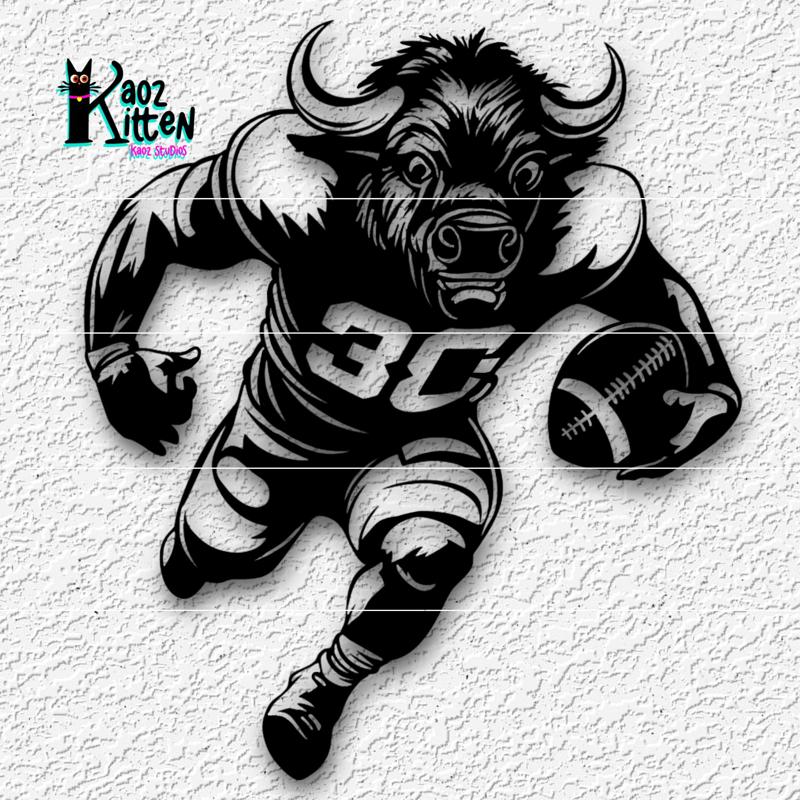 Buffalo Bills Football Superbowl Wall Art