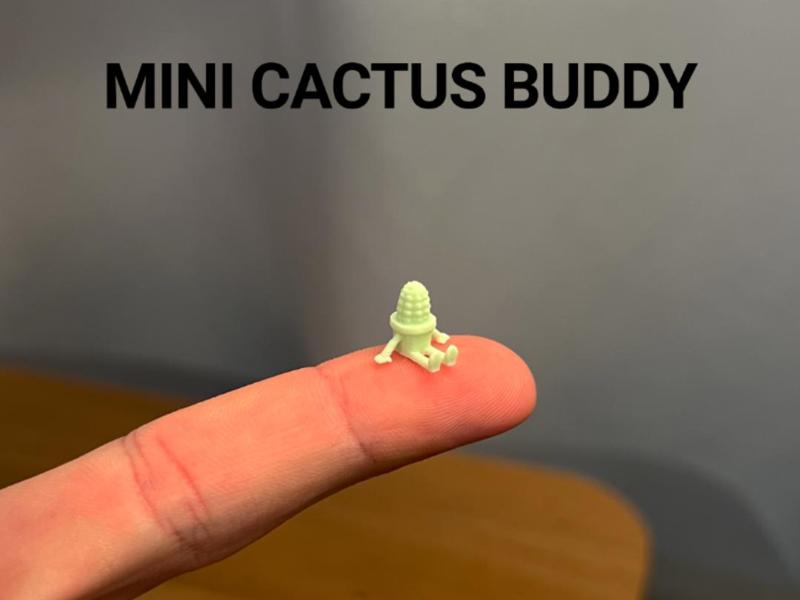Mini Cactus Buddy