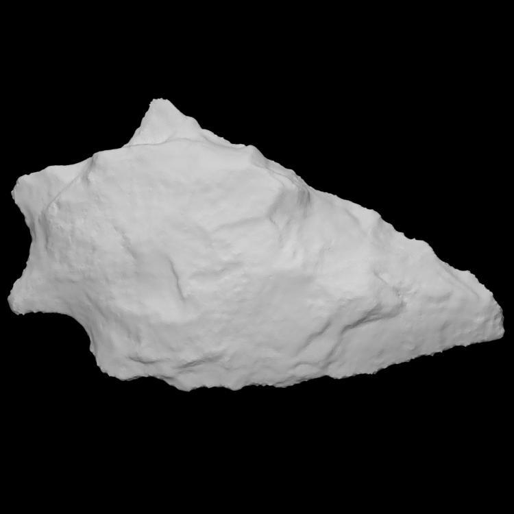 Savannah River Stemmed Point