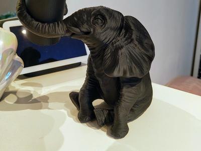 African Elephant