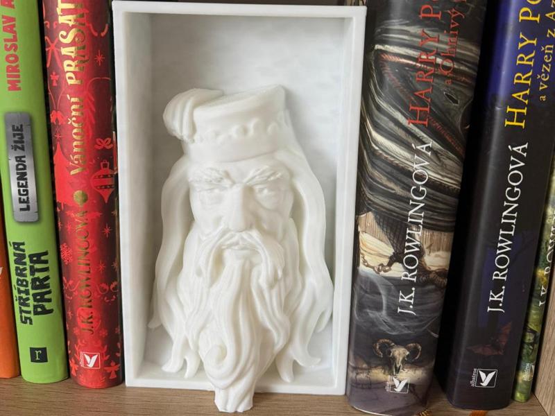 Dumbledor_Book_Nook