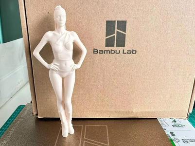 Bikini-clad woman (fully clothed and wearing pants)