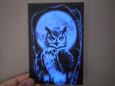 Owl Glow In The Dark 