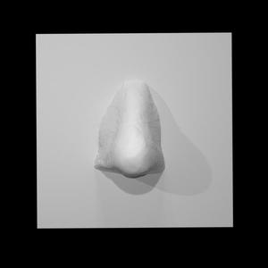 London Nose from the Admiralty Arch