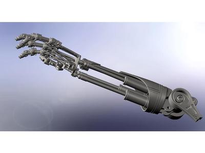Terminator Arm (inches)