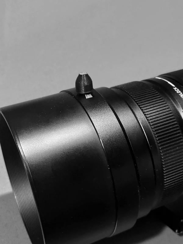 100-400mm panasonic-leica sights for birding