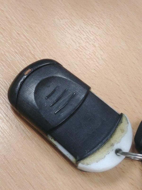 Lextek Alarm Replacement Insert