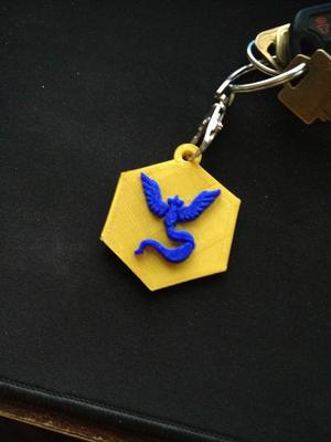 My team mystic keychain