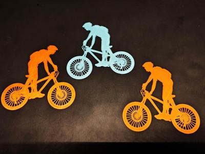 Mountain bike rider