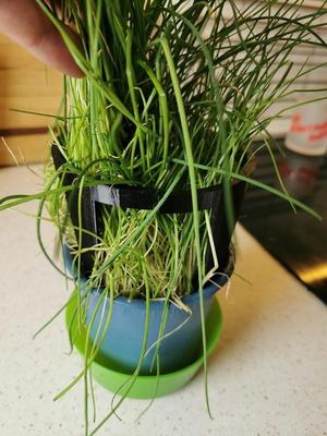 support for herbs