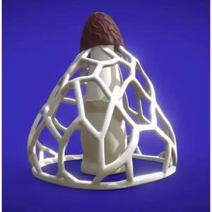 Impudent Phallus Genuine 3D Model of the Devil's Morel