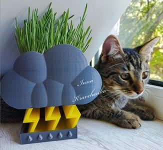 Thunder cloud planter