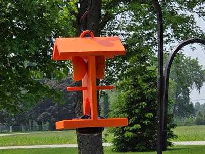Oriole Bird Feeder