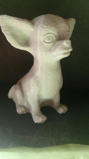 Chihuahua