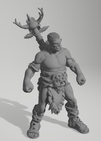 Orc Male Druid 2