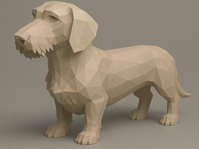 Wirehaired Dachshund