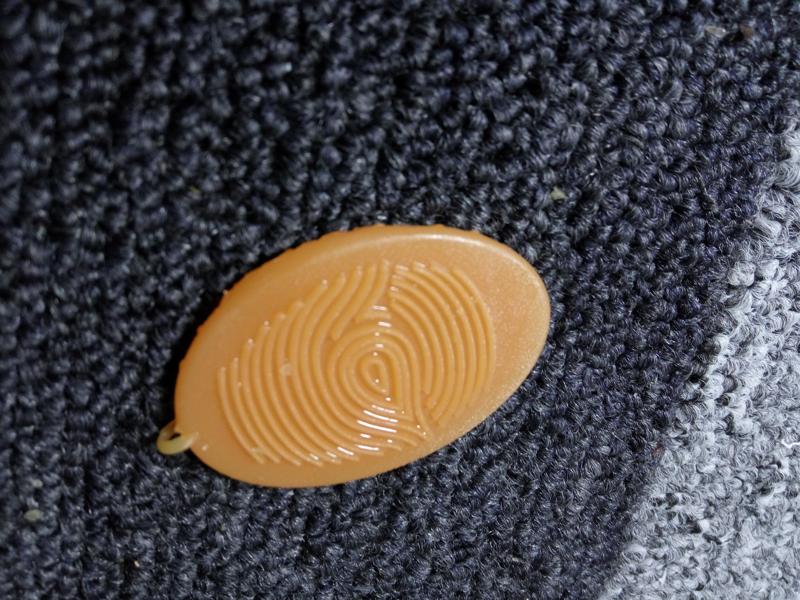 fingerprint pendadnt