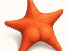 Booty Starfish