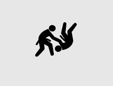 JUDO PICTOGRAM