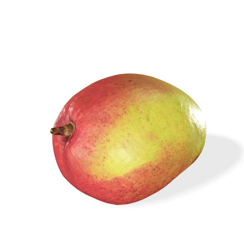 MANGO VEGETABLE FRUIT TREE FOREST WOODEN WOOD FLOWER PLANT FOOD DRINK JUICE MANGO VEGETABLE