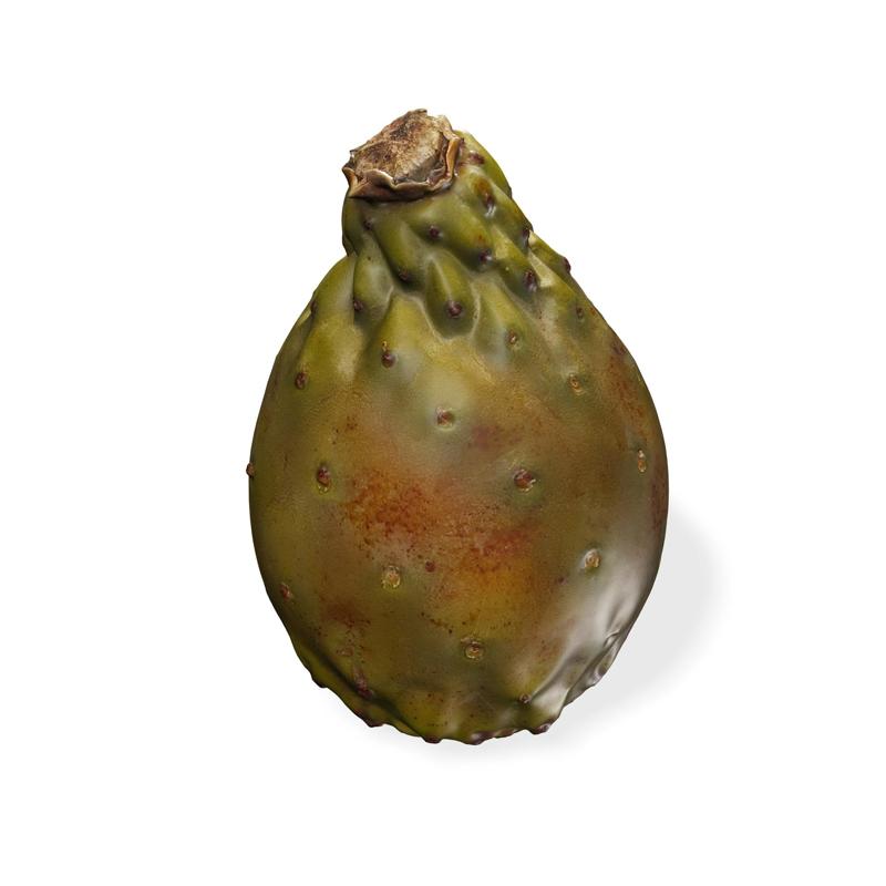 PEAR 3d Scanned Prickly Pear Fruit PEAR VEGETABLE Tomato Potato Carrot Lettuce Cabbage Apple Melon Watermelon kactus Pineapple Plantain Banana Grape Ocume Strawberry Mango Pear Papaya Mussel Lemon