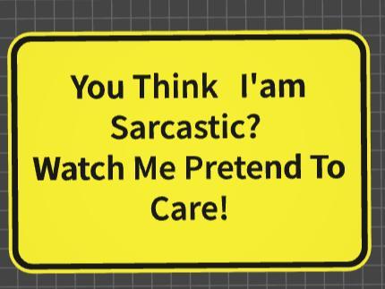 funny sign sarcastic