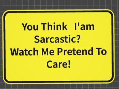 funny sign sarcastic