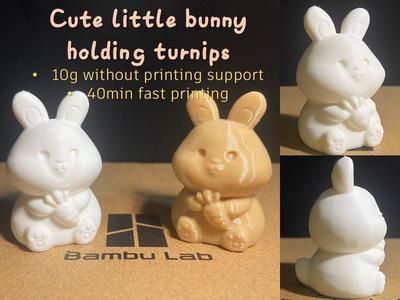 Hugging Carrot Cute Little Rabbit (No Supports)