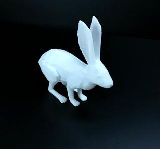 rabbit 3D