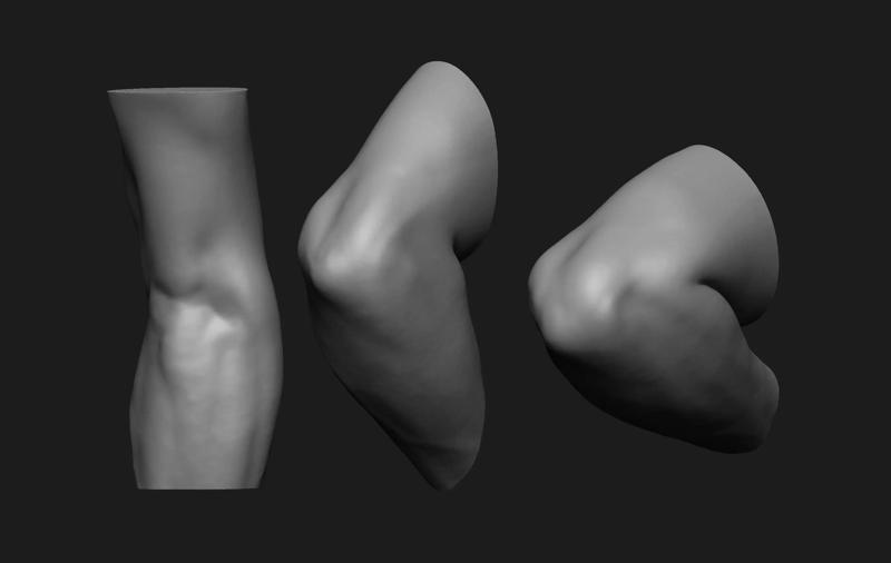 Elbow Set Anatomy Reference