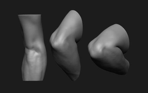 Elbow Set Anatomy Reference