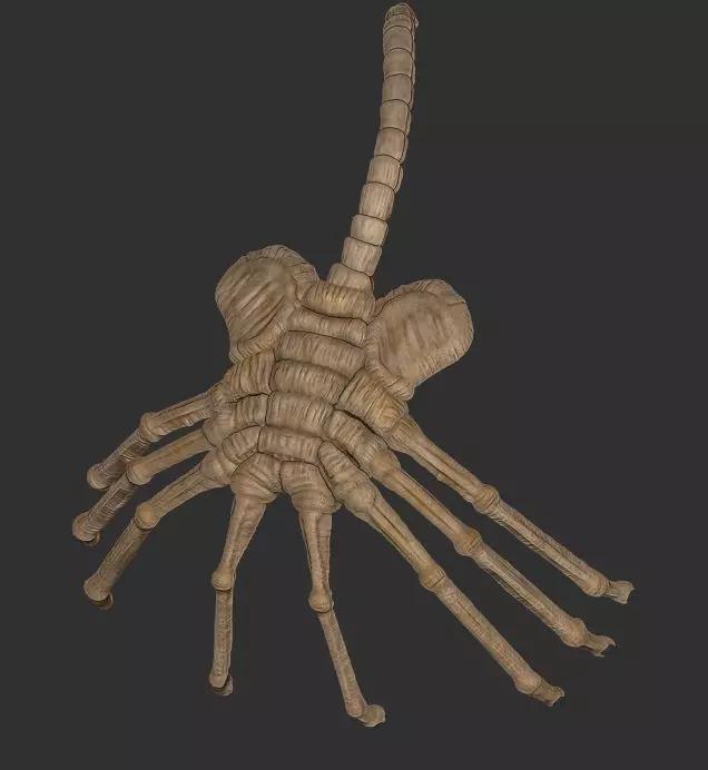 alien face hugger 3d print
