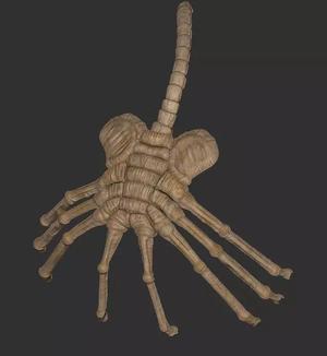 alien face hugger 3d print