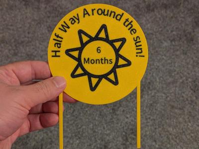 Half Way Around the Sun Cake Topper (6 months)