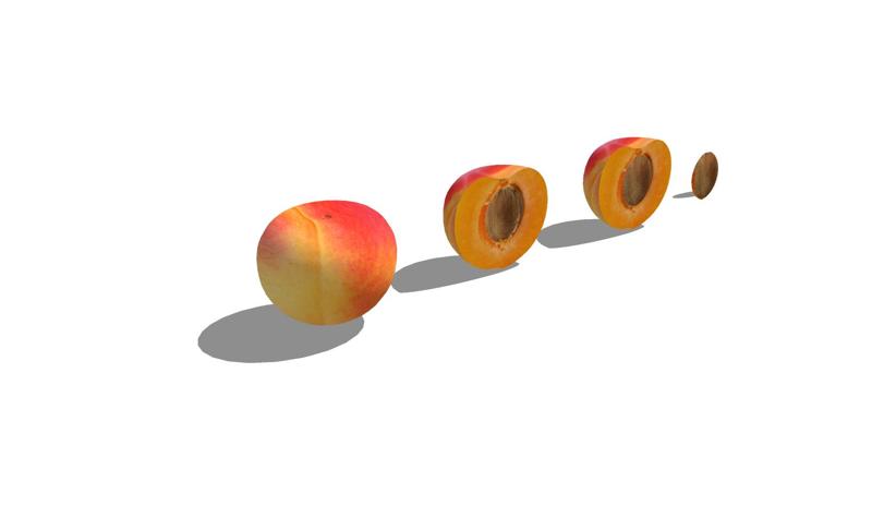 Apricote Apricote 3D Fruit FRUIT FOREST WOOD NATURE FRUIT