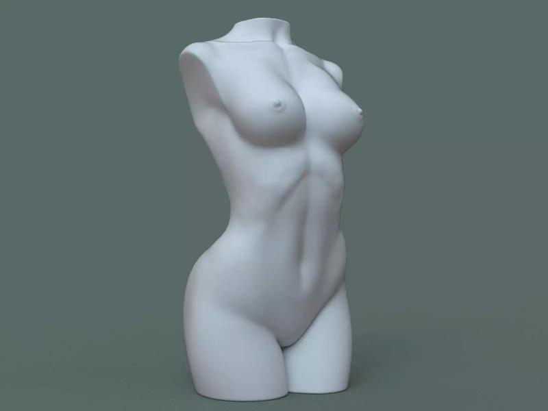 Female Torso
