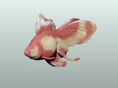 Goldfish Pose 2