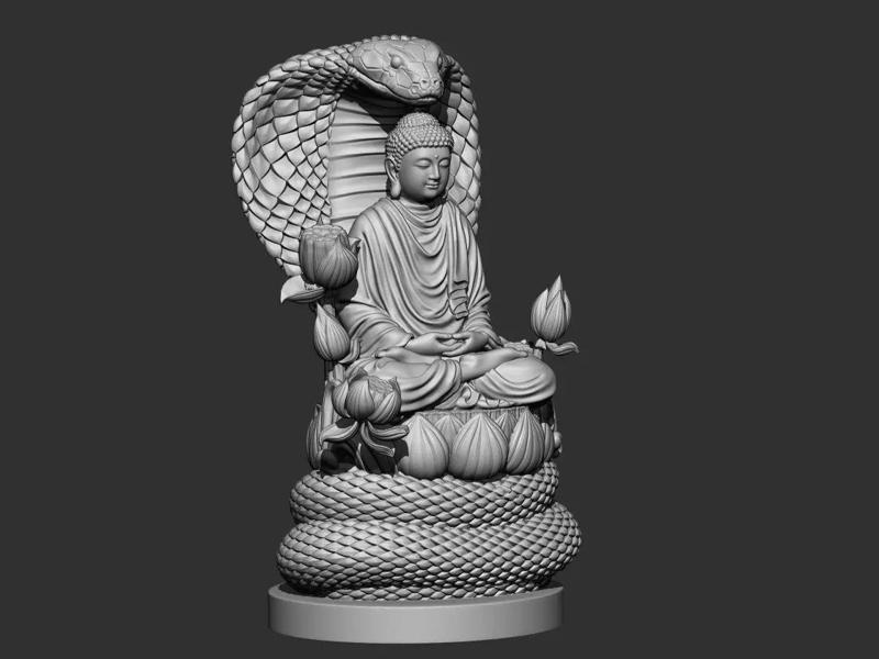 Buddha on snake