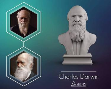 Charles Darwin portrait sculpture