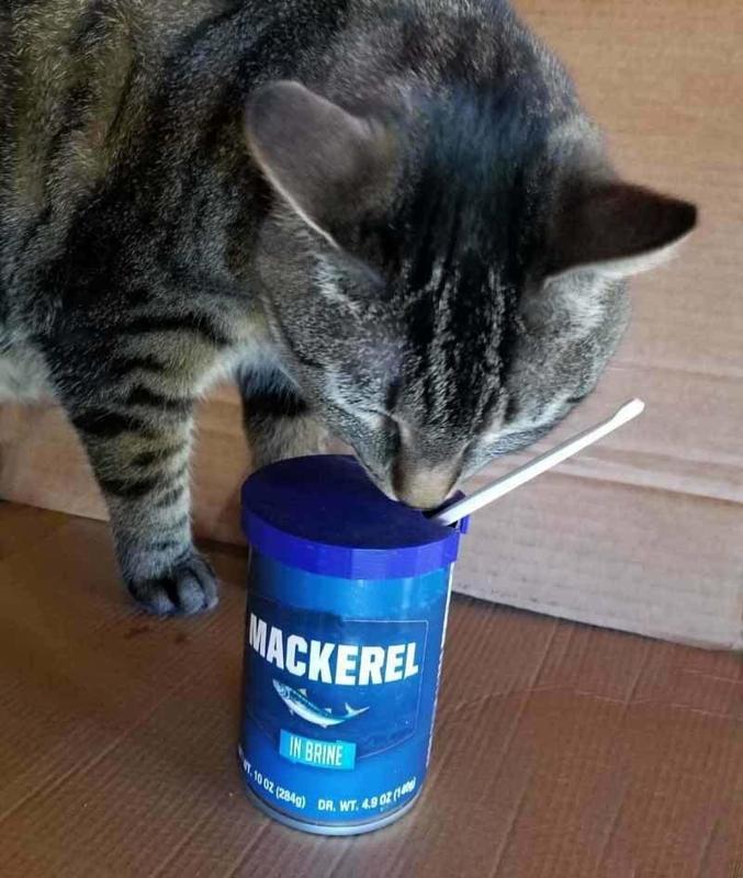 Cat Food Lid