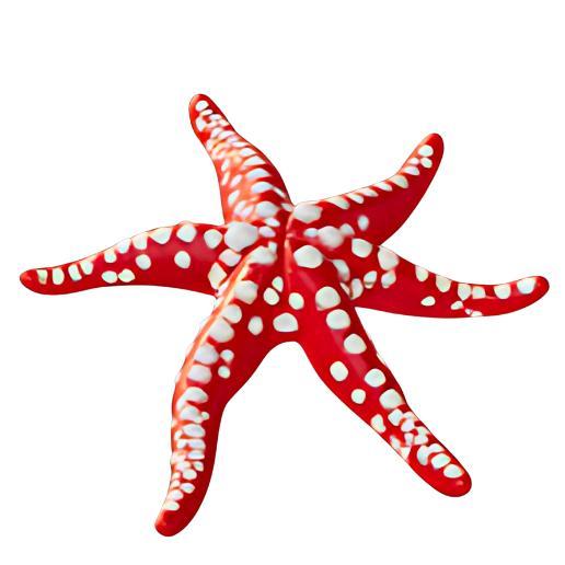 Spotted Sea Star