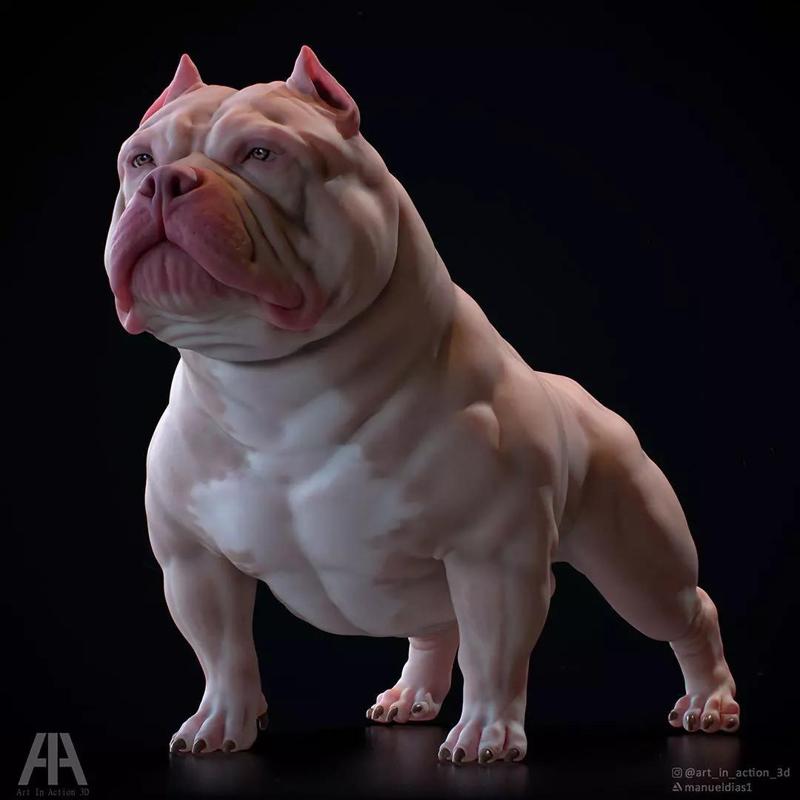 DOG AMERICAN BULLY