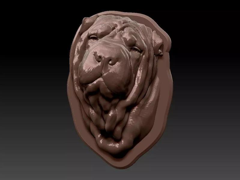 Shar Pei head 3d print model