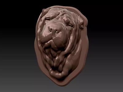 Shar Pei head 3d print model