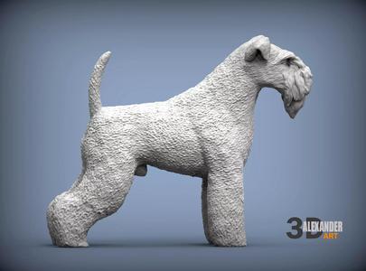 kerry blue terrier