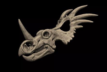 Styracosaurus Skull 3D Print Model