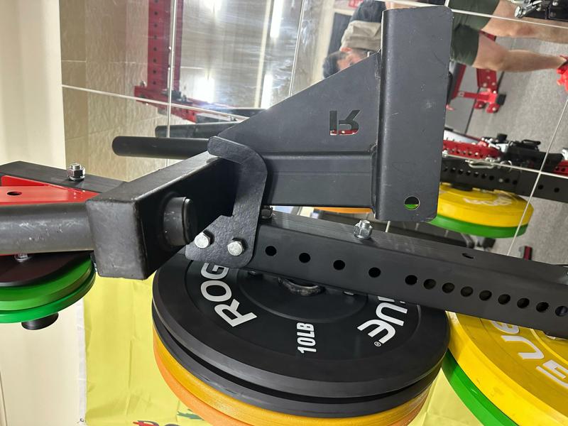 Rogue Matador dipstation mount home gym