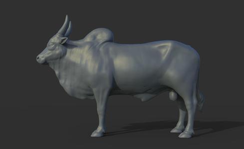 pulikulam country bull