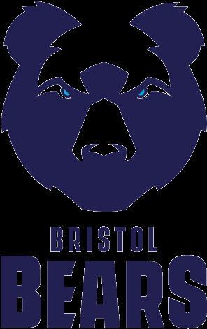 bristol bears rugby team
